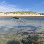 Kurz vor dem Trockenfallen