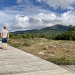 Bohlenweg in den Dünen