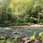 Atlantischer Wald und Rio Eume