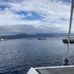 Zwischen den Muschelfarmen im Ria Arousa