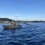 Frühstücksbegleitung direkt am Boot