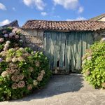 Streifzug durch Combarro 2