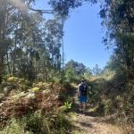 Auf dem Weg zum Supermarkt