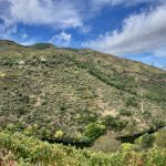 Panorama Quinta Panascal