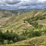 Traumhafte Landschaft