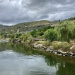 Picknickplatz am Wasser