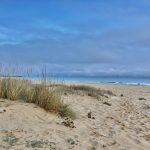 Fast wie Zuhause am Strand...