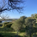 Bald blüht hier alles!