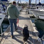 Gassi gehen im Hafen