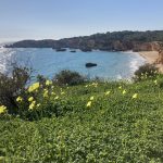Frühling an der Algarve