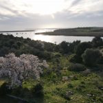 Blick auf das Ankerfeld