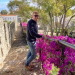 Lila Blumen überall...