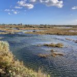 Die Salzwiesen bei Barril