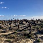 Sauber aufgereihte Anker