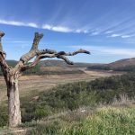 Der ausgetrocknete Stausee