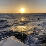 Auf geht's in die Nacht!