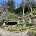 In der weitläufigen Parkanlage