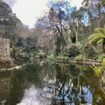 Königlicher Ententeich