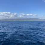 Spanien kommt in Sicht!