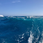 Wunderschöne Wellen