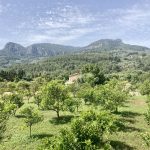 Querfeldein geht die Fahrt