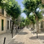 Die Hauptstraße von Soller