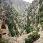 Weiter geht`s über Stock und Stein...