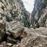 Ohne Klettern geht es nicht