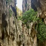 Es wird immer schmaler...