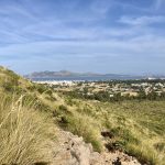 Pollensa von Land aus gesehen