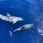 Wunderschönes Lichtspiel