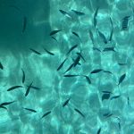 Wunderbar klares Wasser!