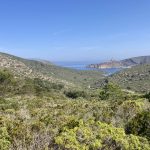 Auf dem Weg zum Leuchtturm