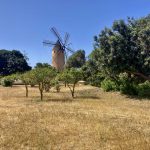 Traditionelle Windmühle