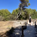 Unterwegs in Richtung Wald