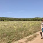 Spaziergang über die Felder