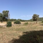 Überraschende Landschaft