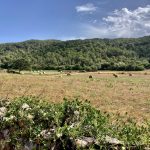 Fast schon Dänemark...