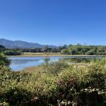 Landschaft bei Porto Vecchio