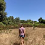 Auf Entdeckungstour im Landesinnern