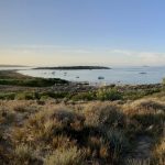 Ein letzter Blick auf Porto Pollo