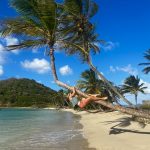 Palmenklettern für Anfänger