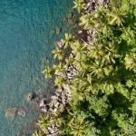 Urwald bis zum Wasser