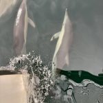 Delfine vor Marbella