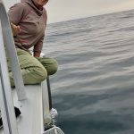 Delfine machen glücklich