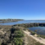 Fahrradtour entlang der Lagune