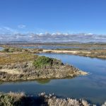 Im Westen der Lagune