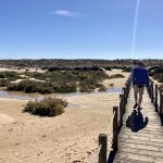 Salzwiesen auf der Ilha Culatra