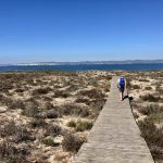 Auf der Ilha Deserta