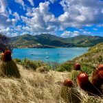 Blick auf die Carlisle Bay
